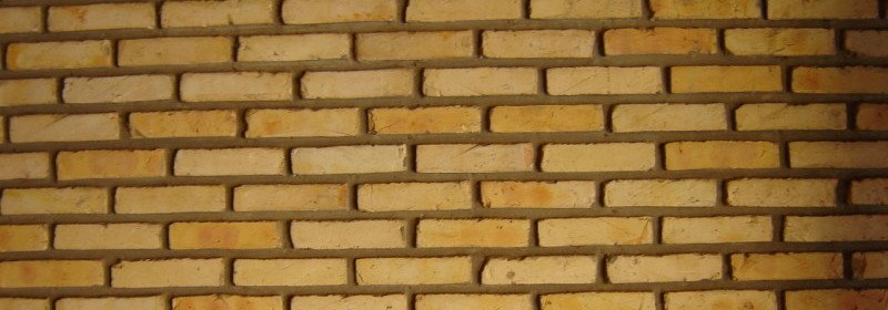 brick-wall-analogy-for-cells
