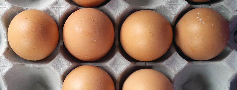 A picture of Eggs - High in protein